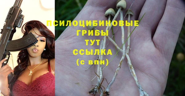ешки Осташков