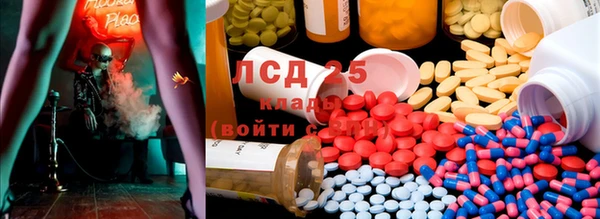 спиды Михайлов
