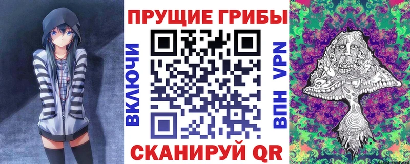 Псилоцибиновые грибы Cubensis где купить наркоту Ржев